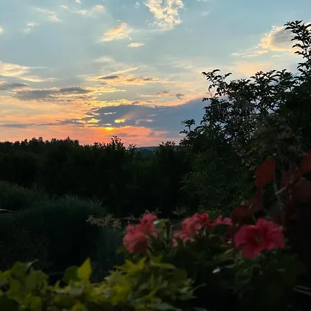 酒店 苏姆费力格尔维特酒店